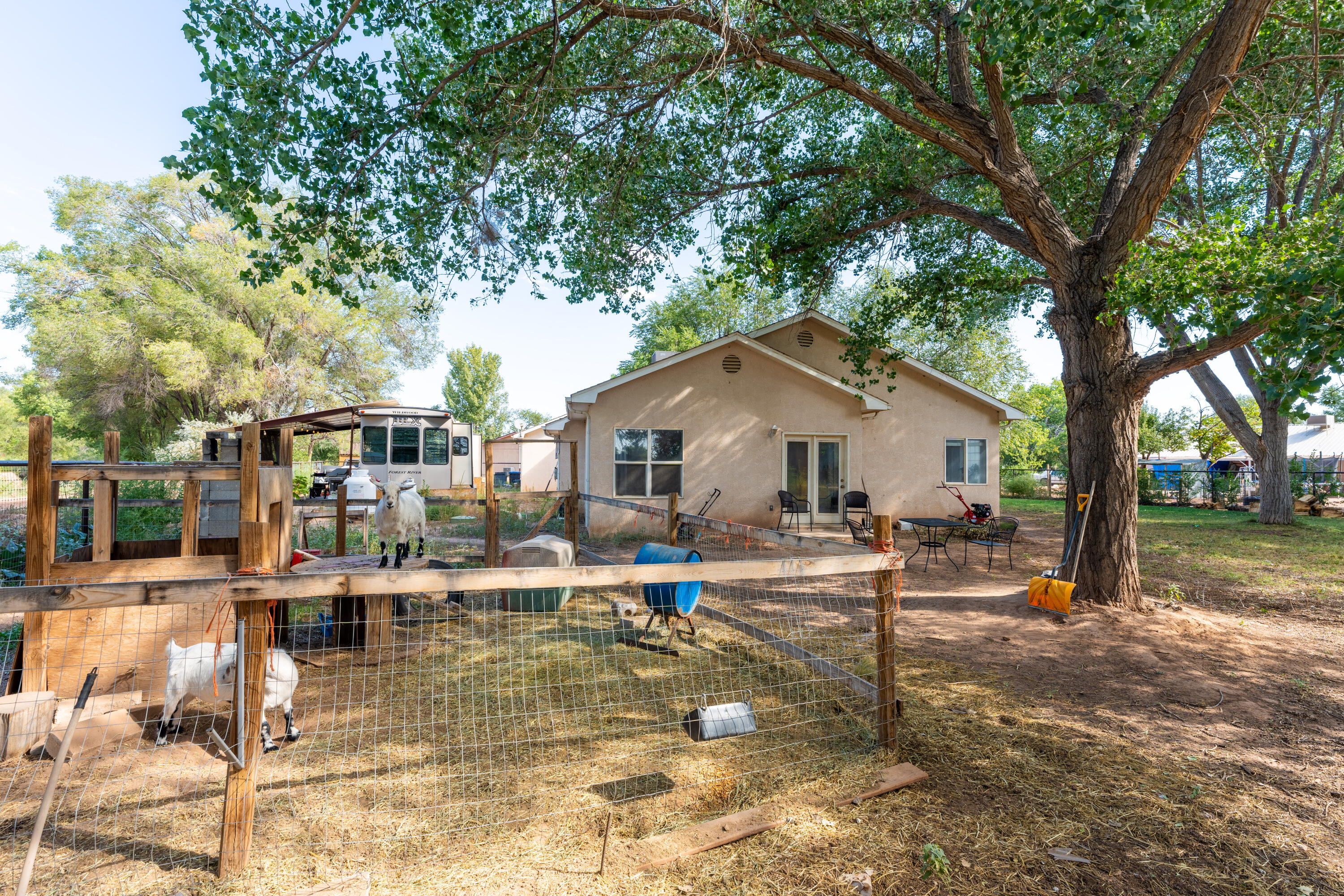 4 Dove Court, Peralta, New Mexico image 26