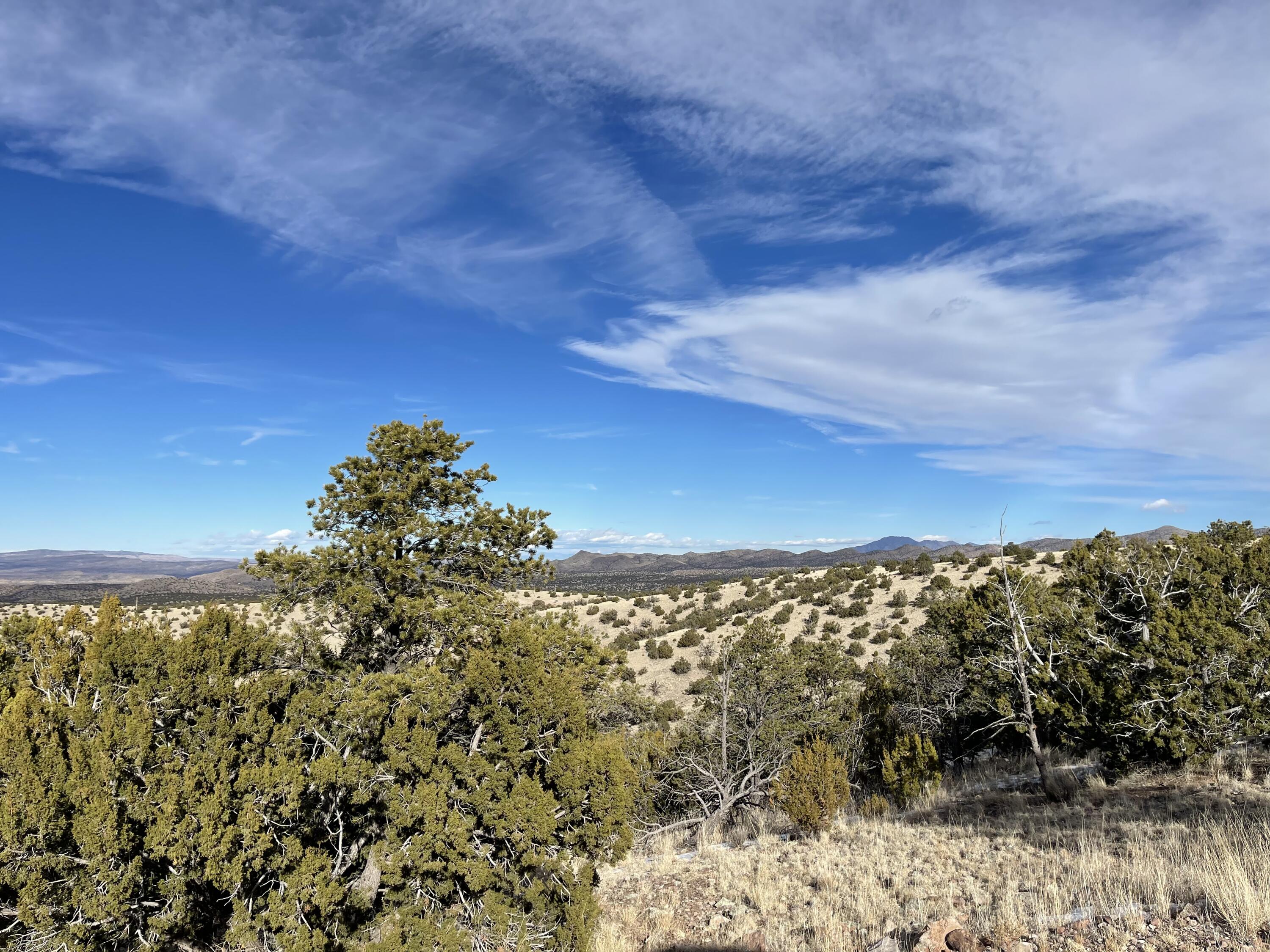 8 Overlook Way, Magdalena, New Mexico image 42