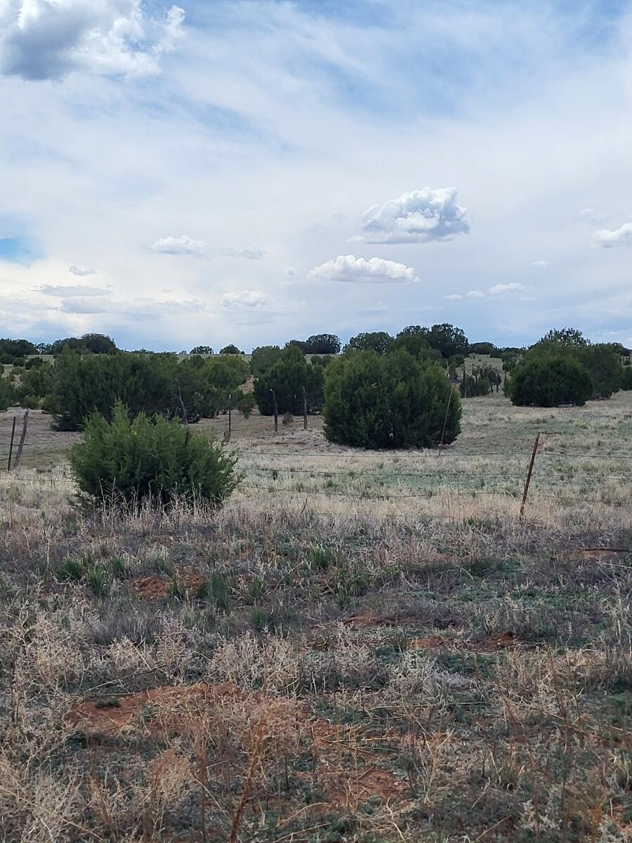 0000 Bullion Rd, Moriarty, New Mexico image 3