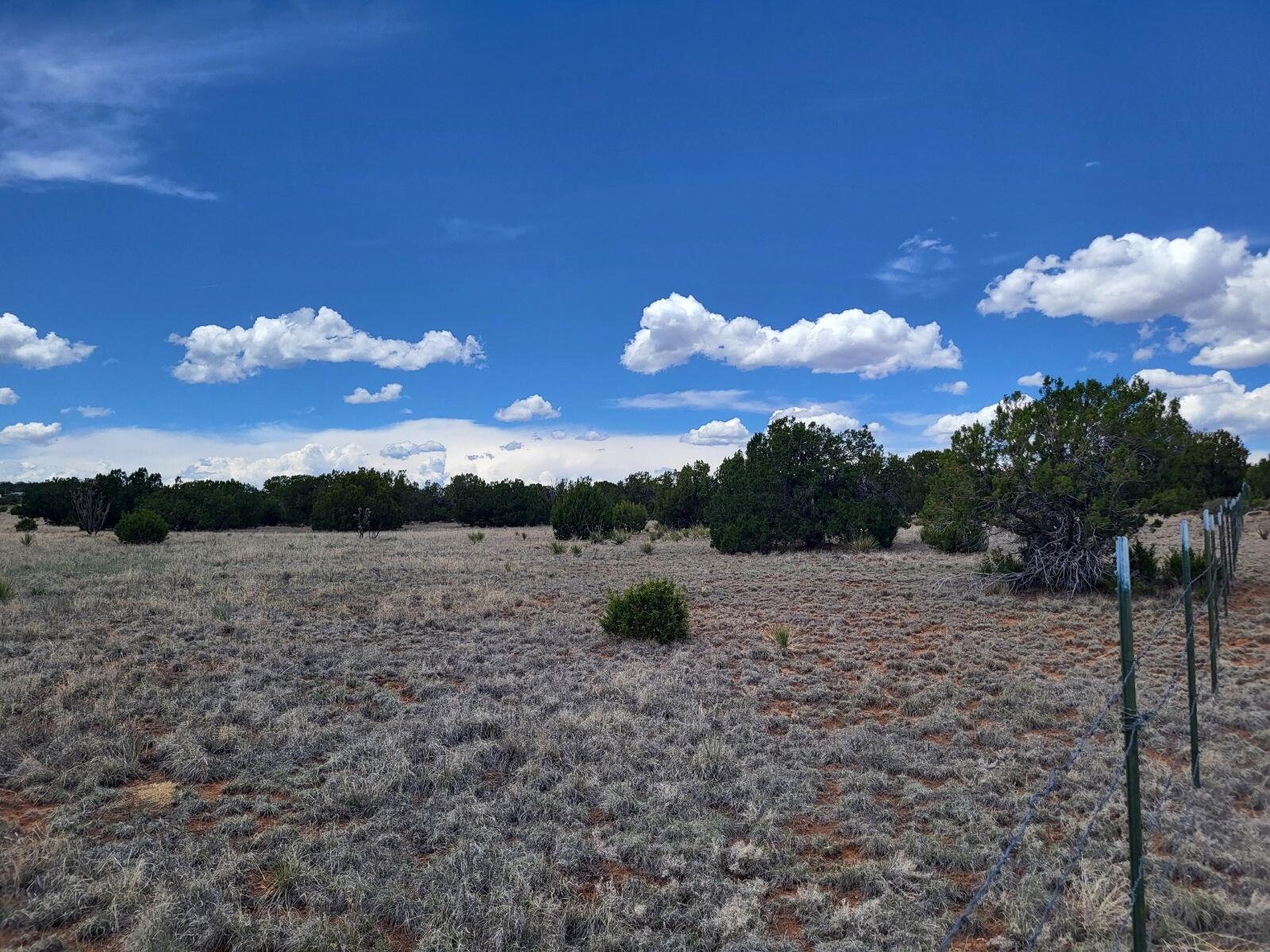 0000 Bullion Rd, Moriarty, New Mexico image 2