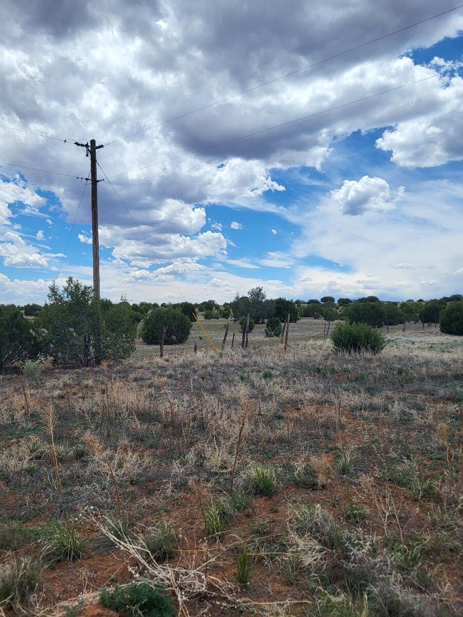 0000 Bullion Rd, Moriarty, New Mexico image 4