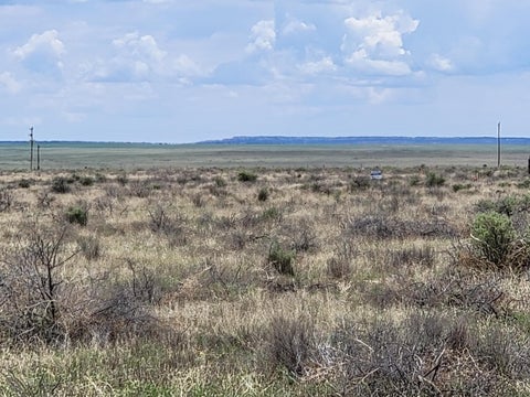Vacant Land For Sale - 202-C Calle Del Sol Road<br/> Estancia, NM 87016