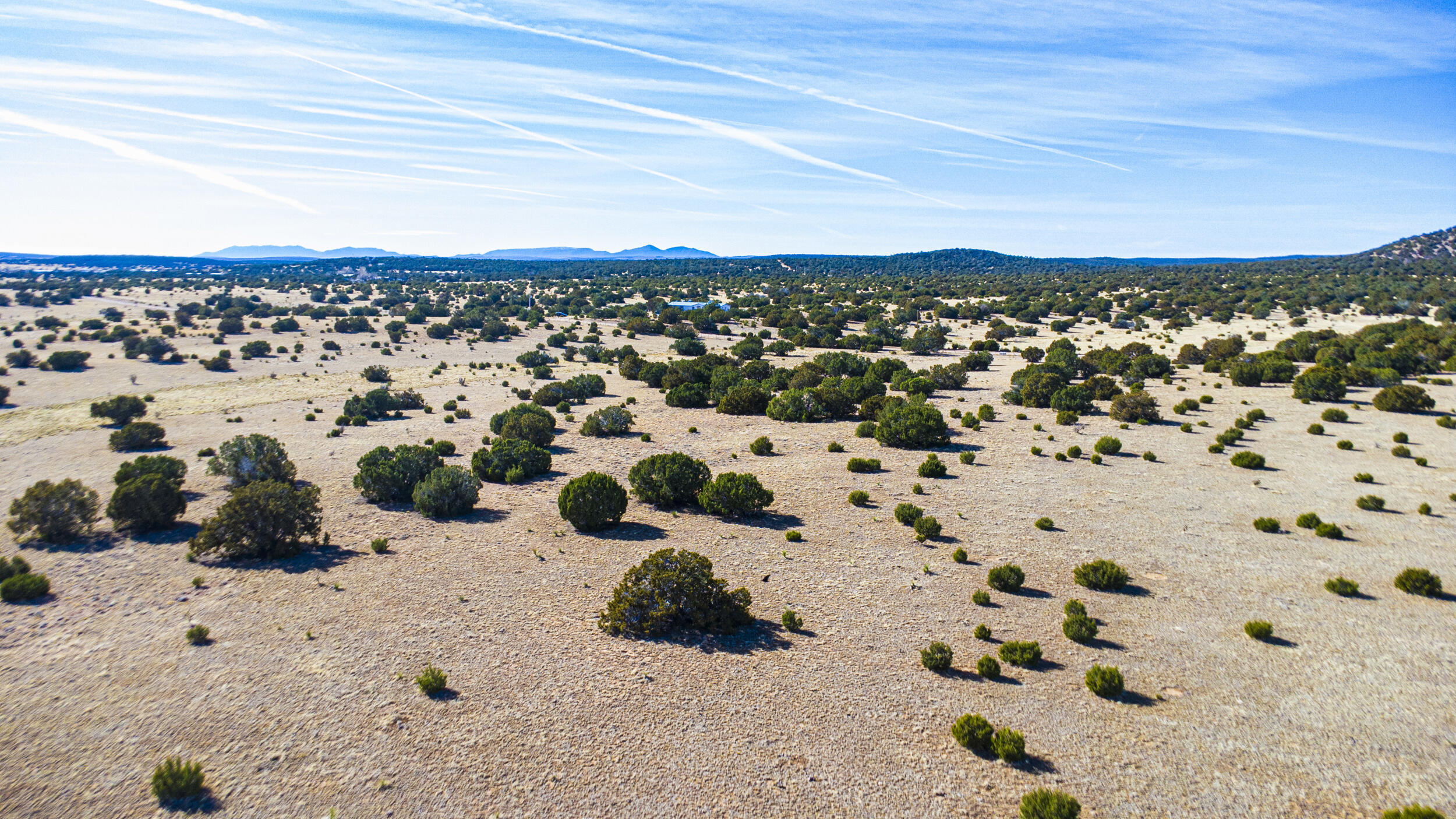 West 1/2 Section 31 Tract 1, Moriarty, New Mexico image 16