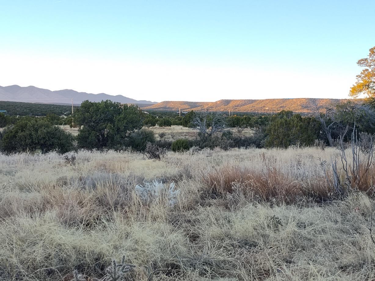 Road Runner Road, Mountainair, New Mexico image 2