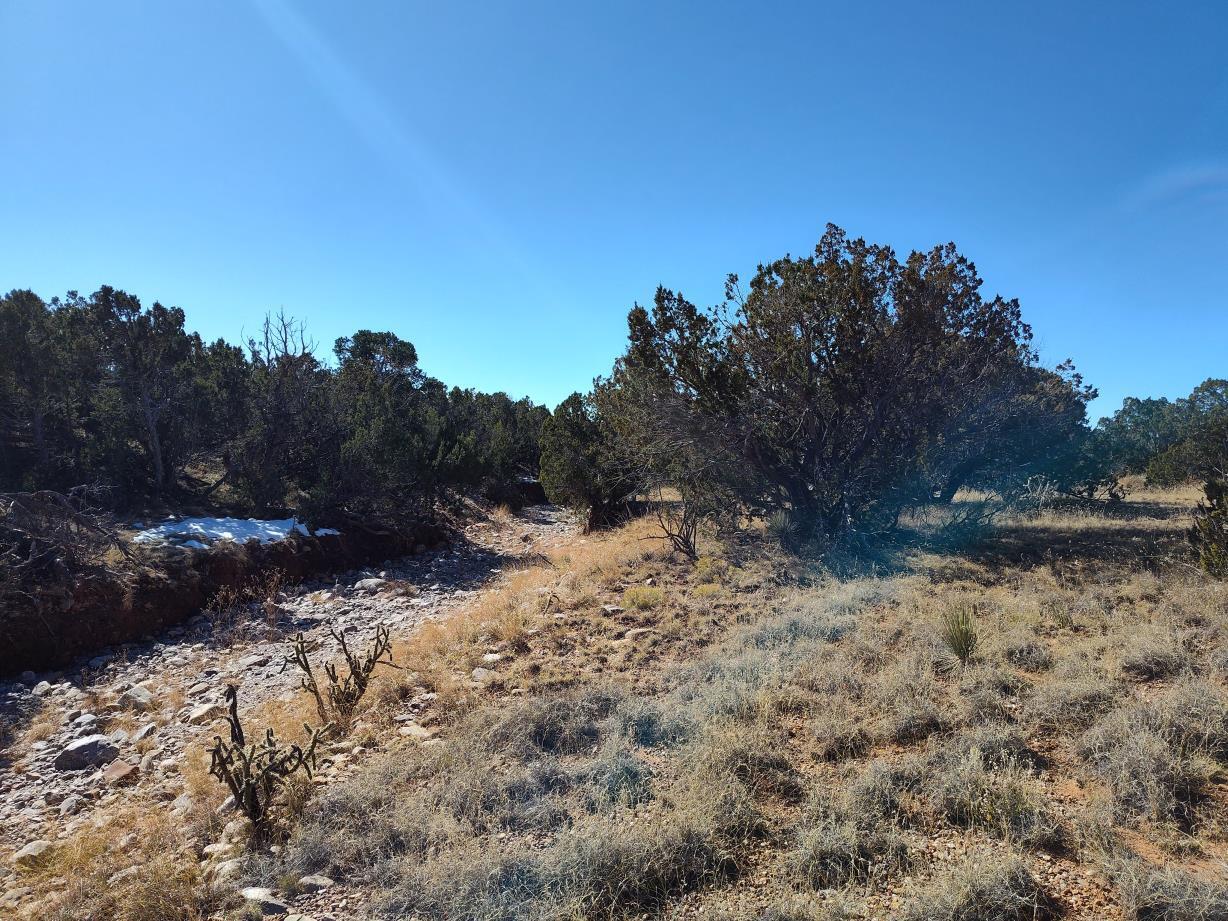 Road Runner Road, Mountainair, New Mexico image 17