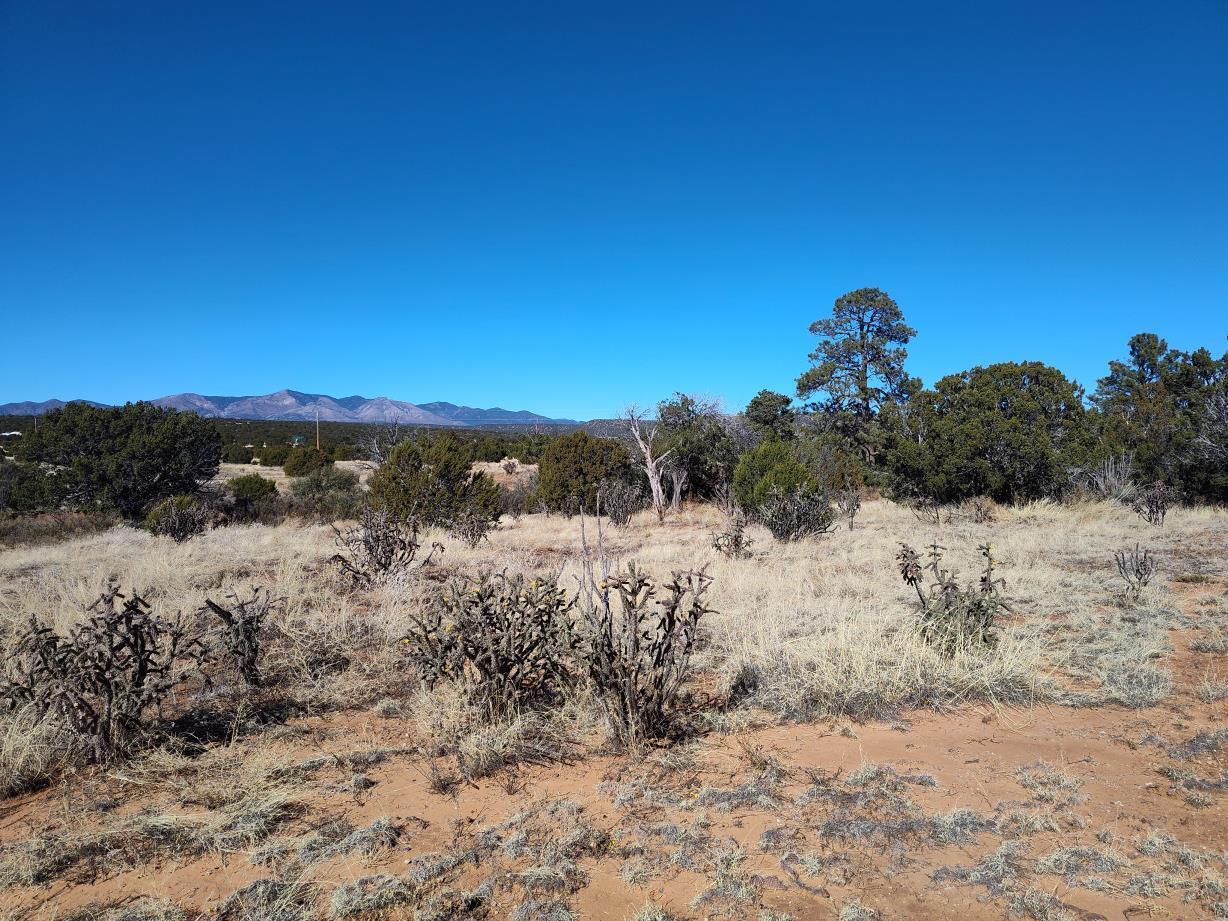 Road Runner Road, Mountainair, New Mexico image 9