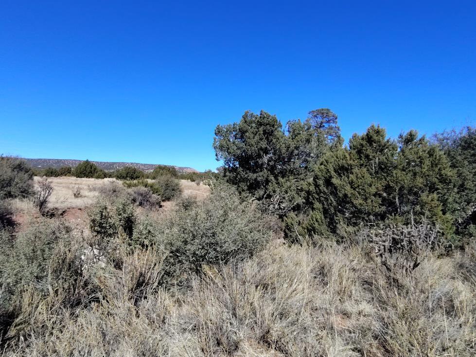 Road Runner Road, Mountainair, New Mexico image 3