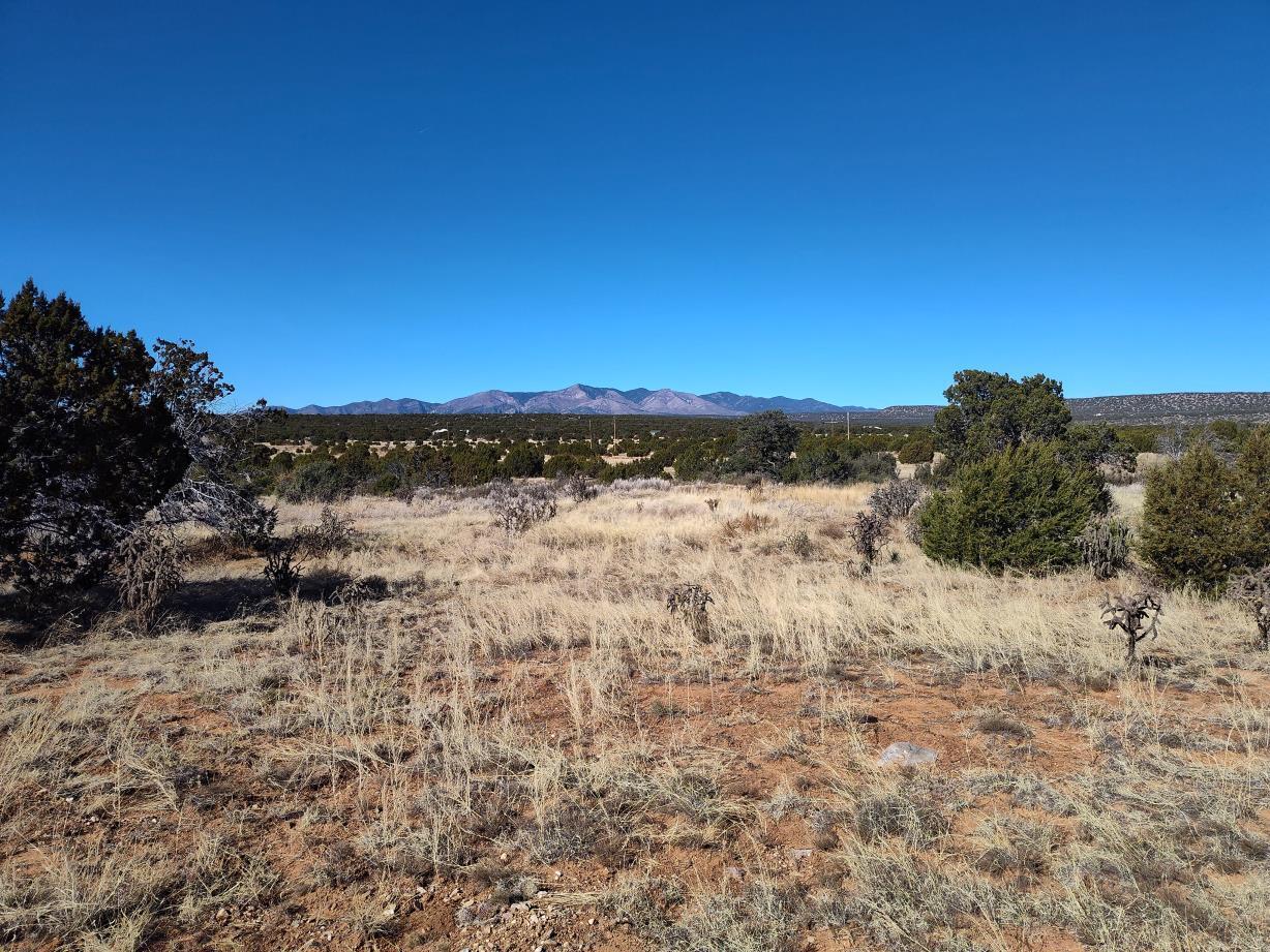 Road Runner Road, Mountainair, New Mexico image 11