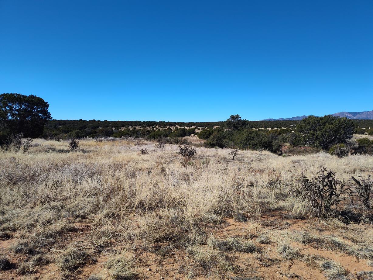 Road Runner Road, Mountainair, New Mexico image 10