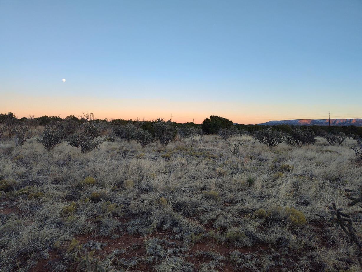 Road Runner Road, Mountainair, New Mexico image 6