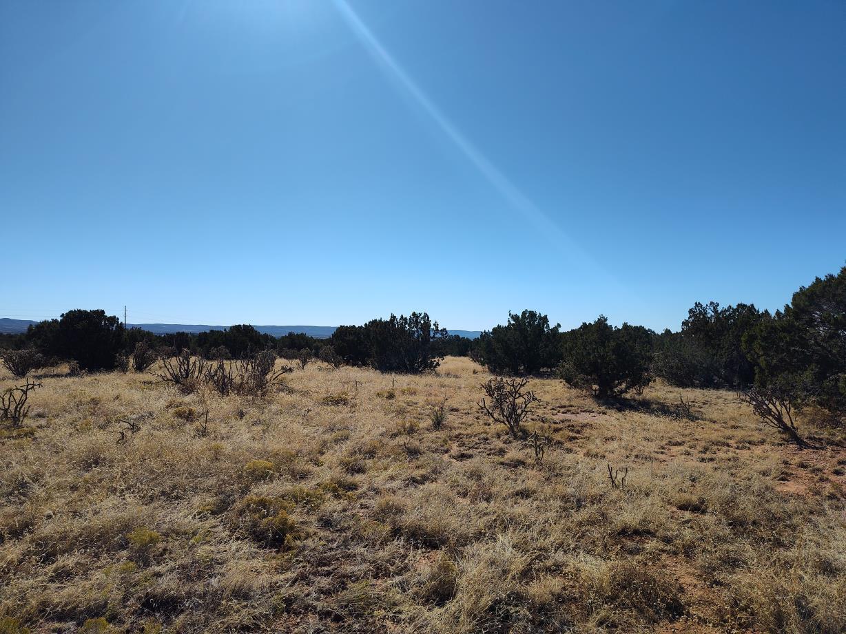 Road Runner Road, Mountainair, New Mexico image 7