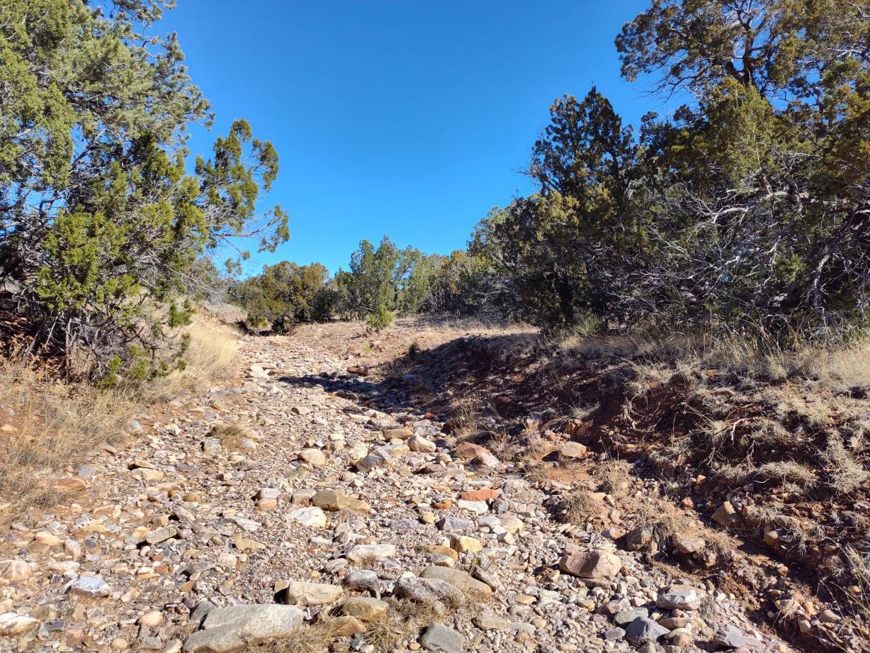 Road Runner Road, Mountainair, New Mexico image 18