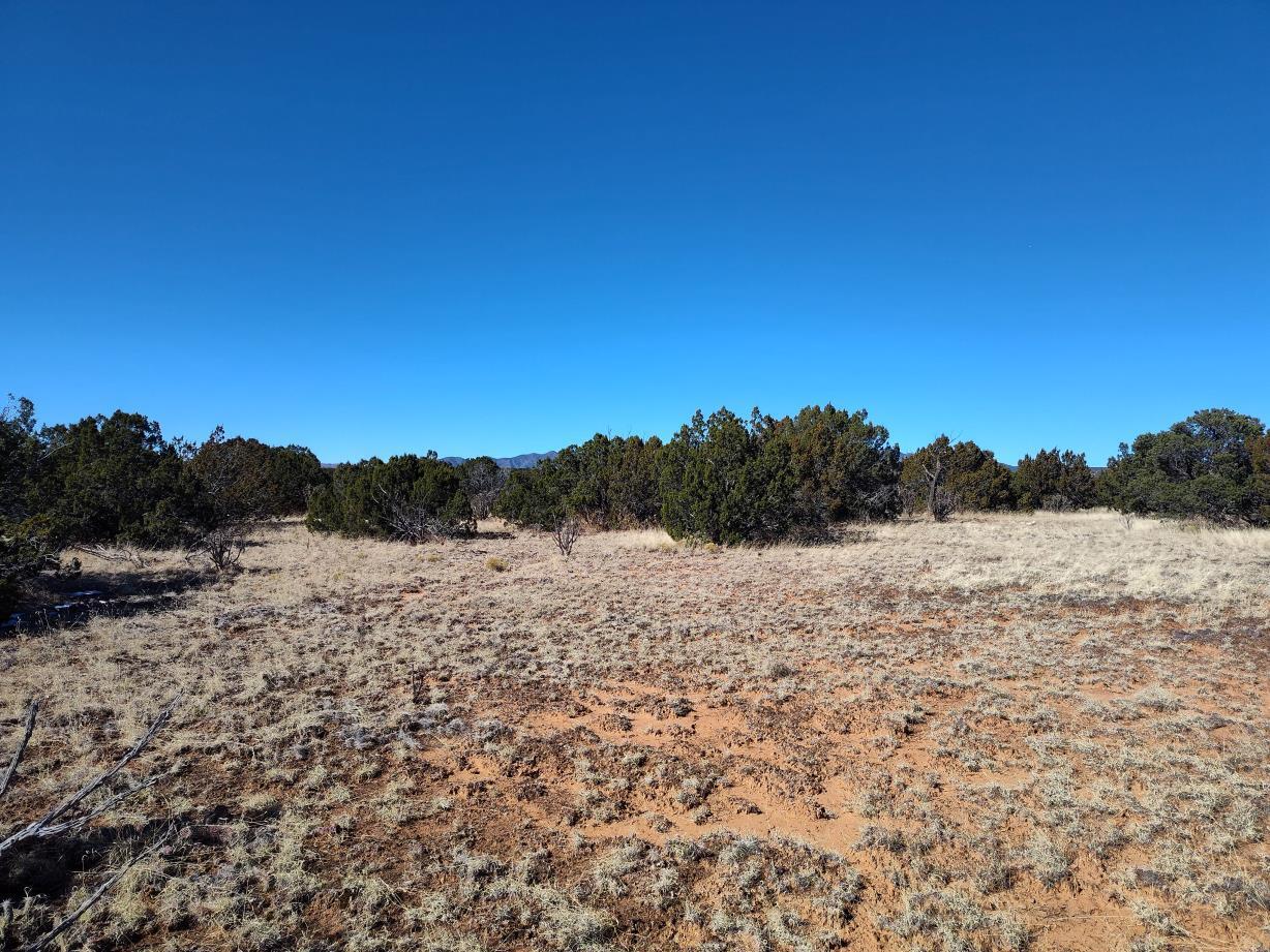 Road Runner Road, Mountainair, New Mexico image 16