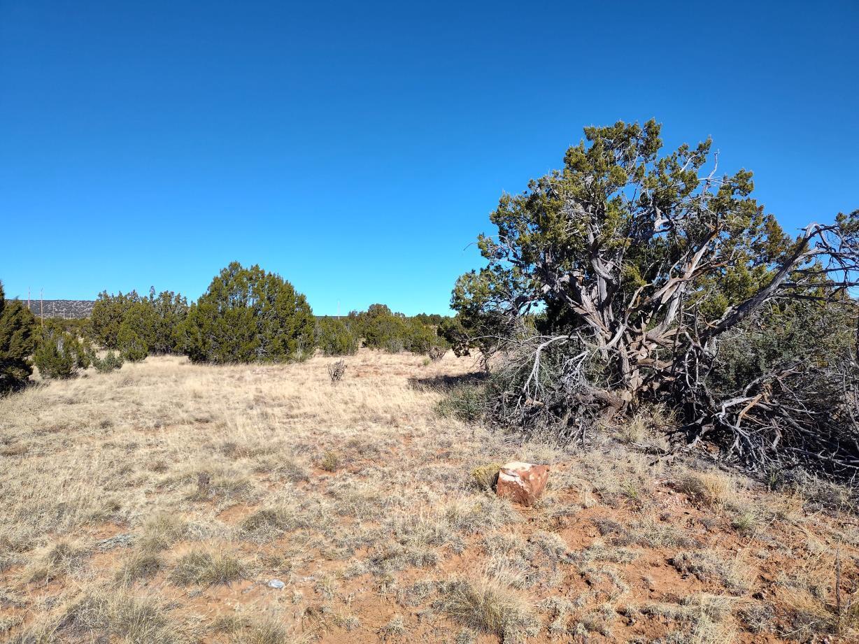 Road Runner Road, Mountainair, New Mexico image 24