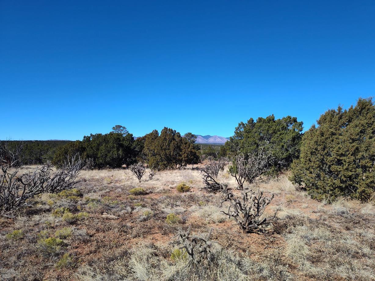 Road Runner Road, Mountainair, New Mexico image 8