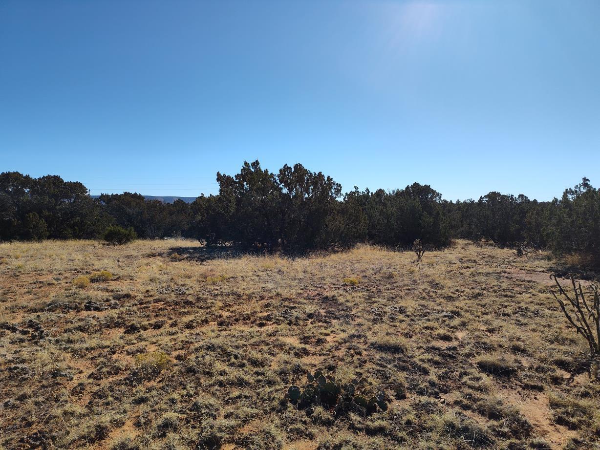 Road Runner Road, Mountainair, New Mexico image 14