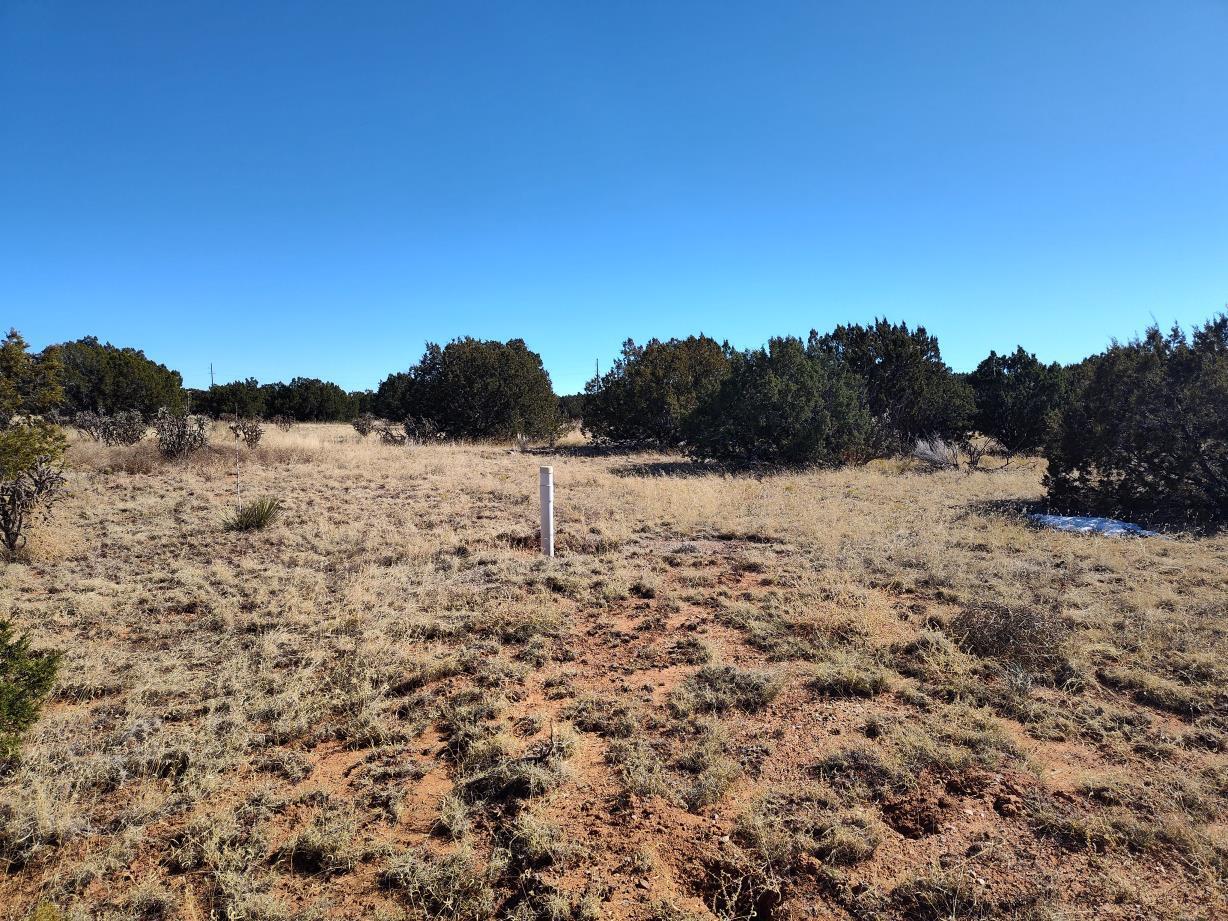 Road Runner Road, Mountainair, New Mexico image 29