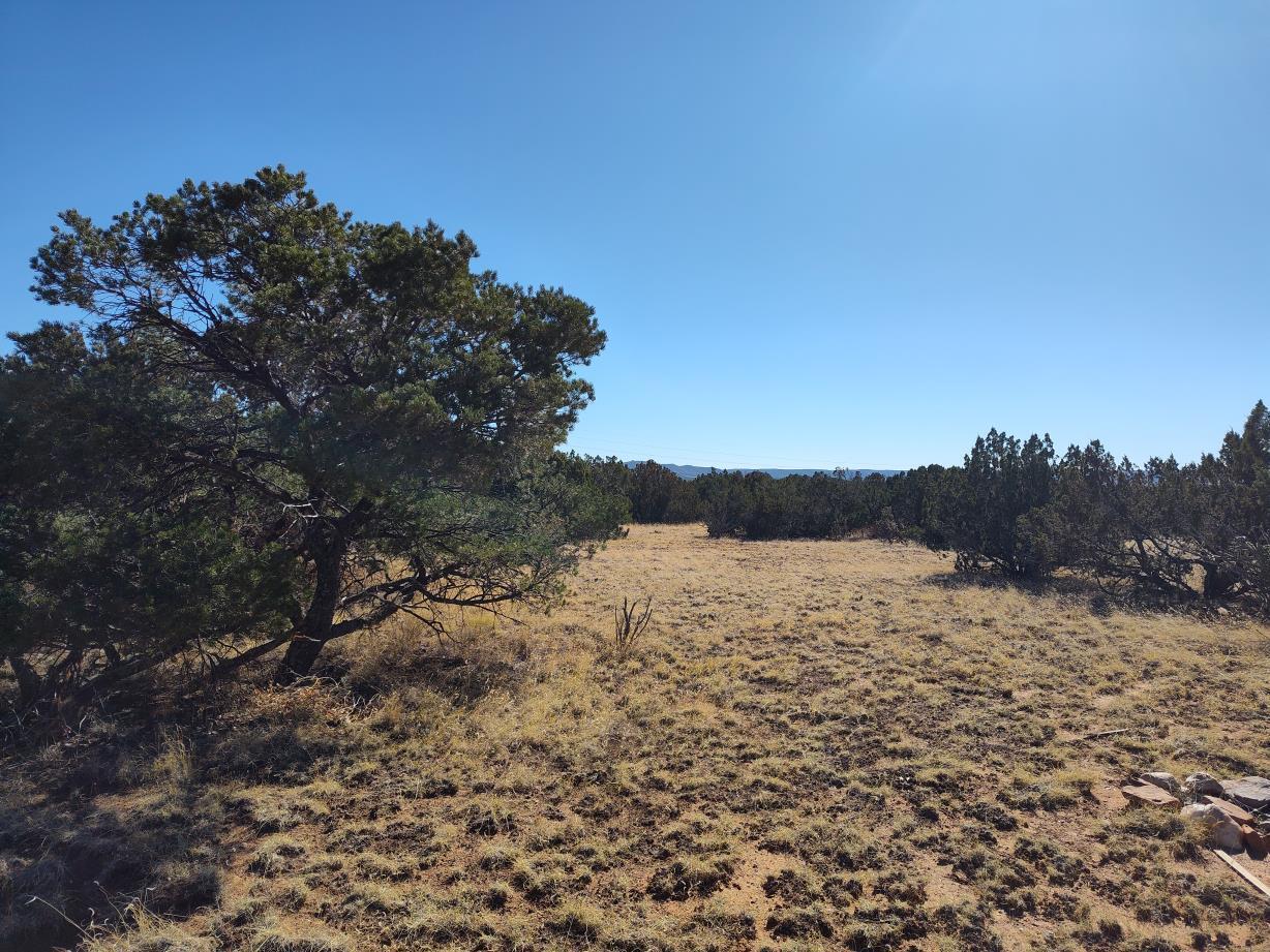 Road Runner Road, Mountainair, New Mexico image 13