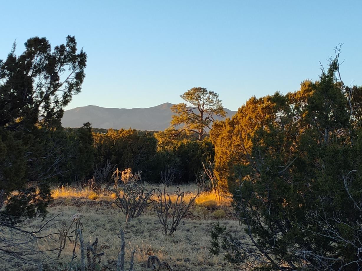 Road Runner Road, Mountainair, New Mexico image 1