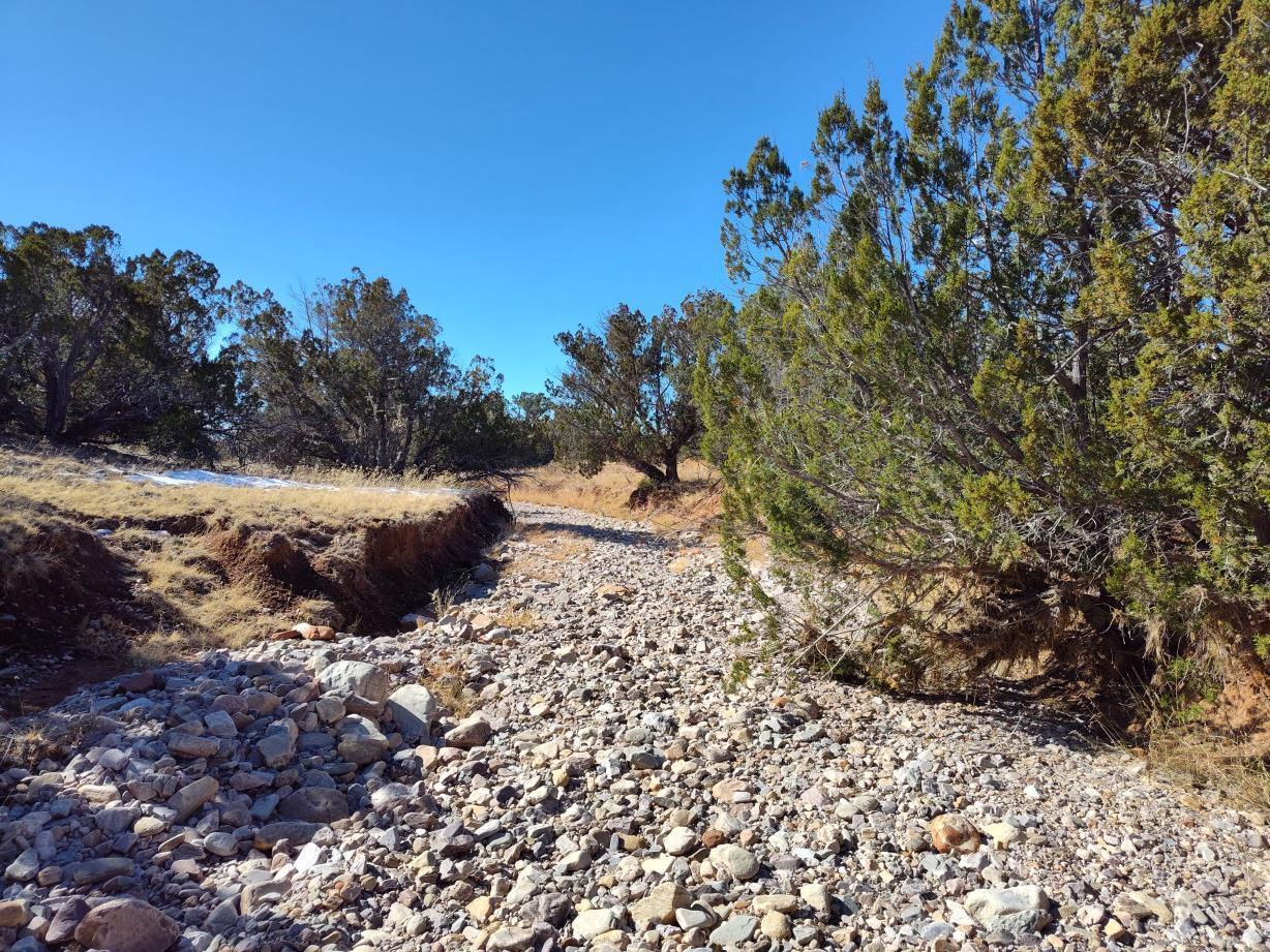 Road Runner Road, Mountainair, New Mexico image 19