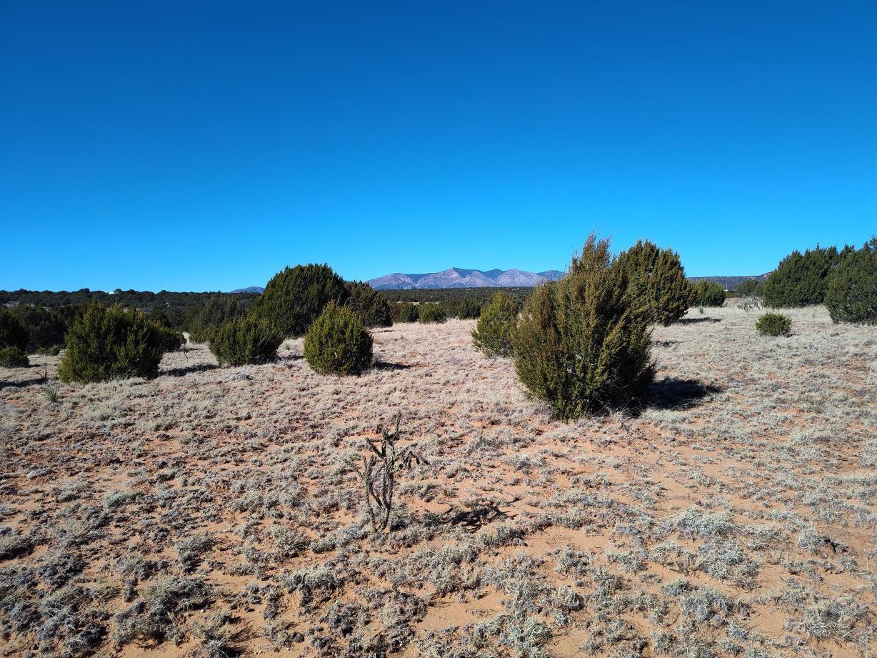 Road Runner Road, Mountainair, New Mexico image 20