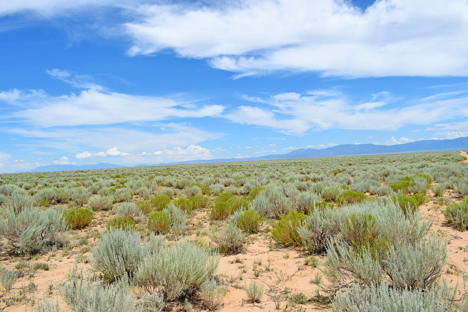 Lot 12 Roundhouse Road, Belen, New Mexico image 6