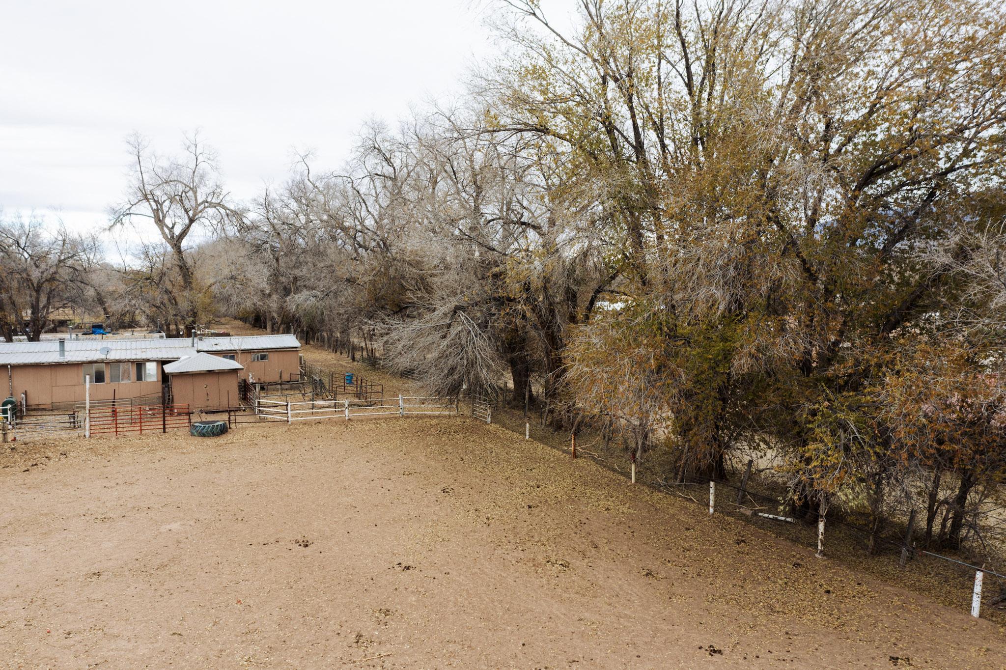 456-B Cabezon & Lot A4a Road, Corrales, New Mexico image 11