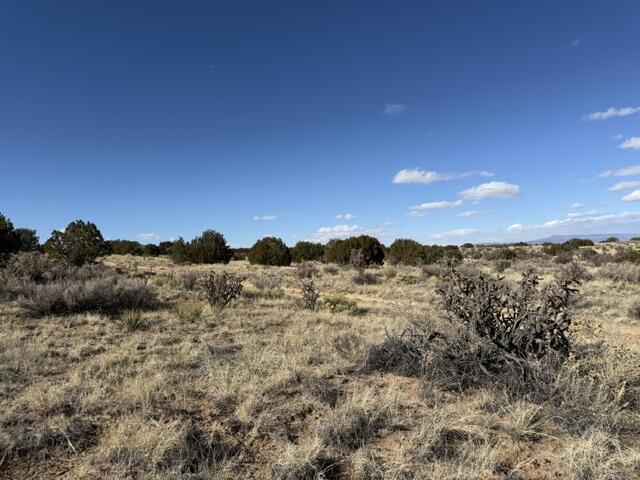 Elegy, Rio Rancho, New Mexico image 1