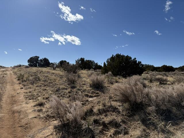 Elegy, Rio Rancho, New Mexico image 5