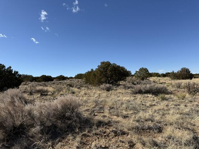 Elegy, Rio Rancho, New Mexico image 6
