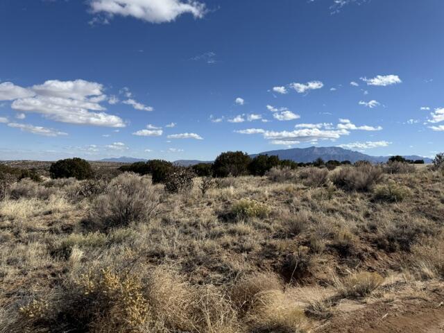 Elegy, Rio Rancho, New Mexico image 7