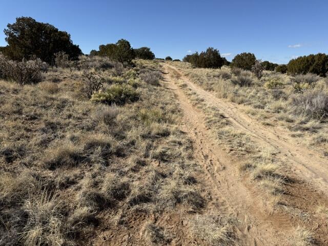 Elegy, Rio Rancho, New Mexico image 3