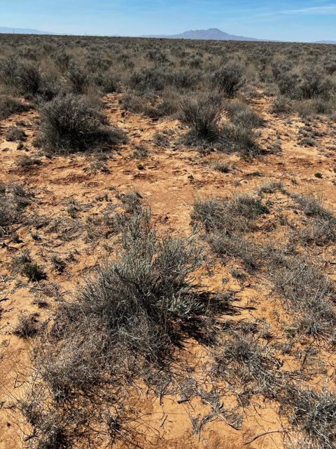 Vacant Land For Sale - LOT 12 W W. Mora Drive<br/> Valencia County, Belen, NM 87002