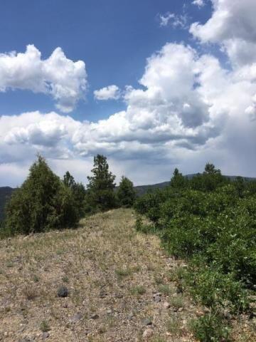 Vista Grande Tracts 1 & 2, Jemez Springs, New Mexico image 23