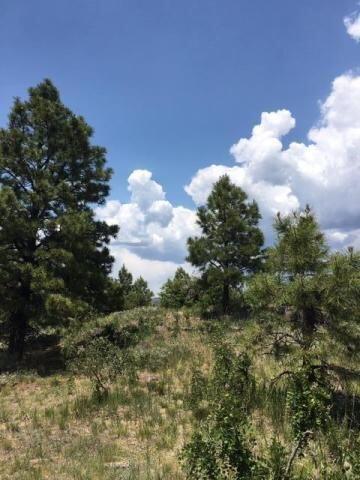 Vista Grande Tracts 1 & 2, Jemez Springs, New Mexico image 15