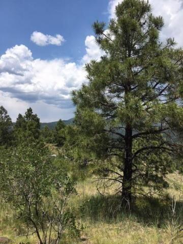 Vista Grande Tracts 1 & 2, Jemez Springs, New Mexico image 18