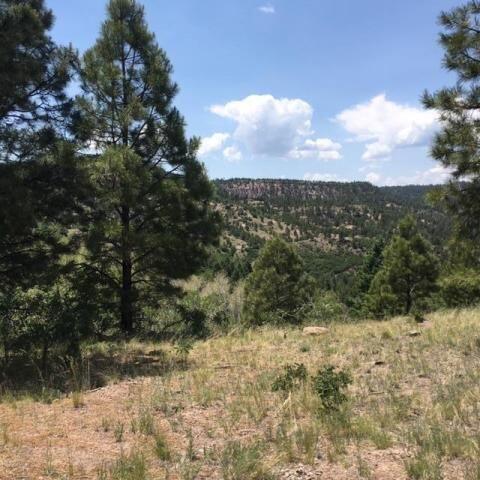 Vista Grande Tracts 1 & 2, Jemez Springs, New Mexico image 16