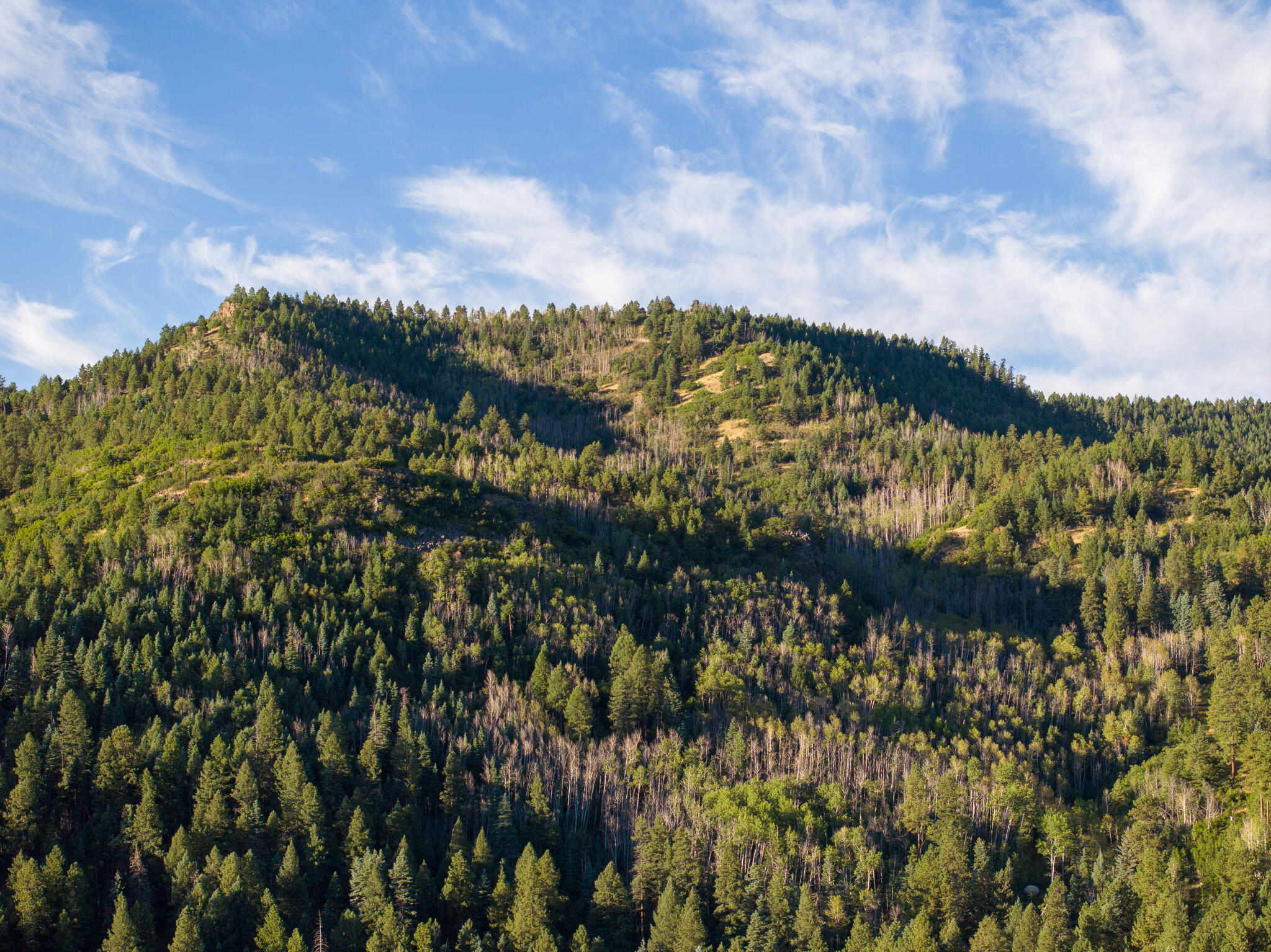 Vista Grande Tracts 1 & 2, Jemez Springs, New Mexico image 6