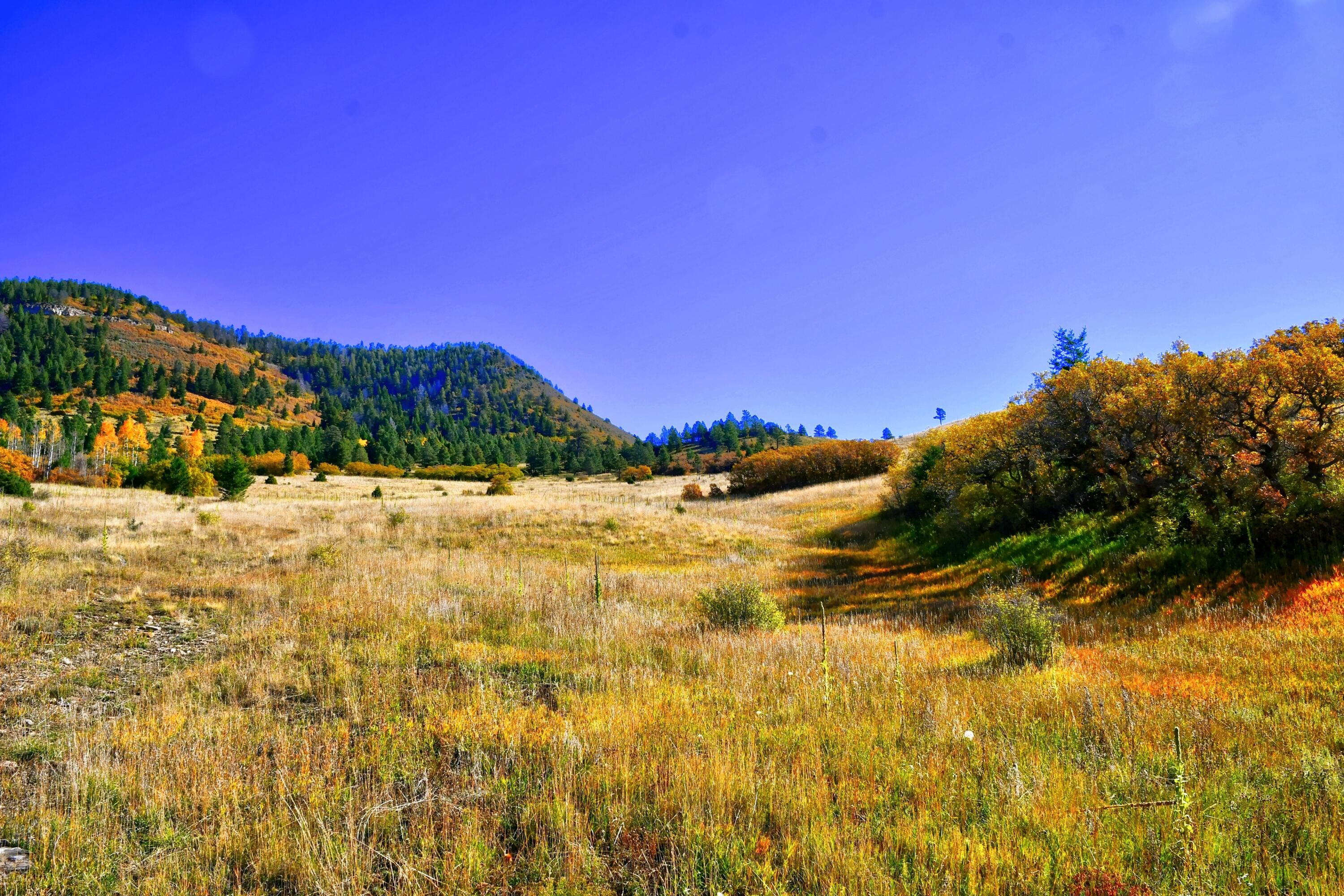 ChaconTR3 Creek B008, Mora, New Mexico image 6