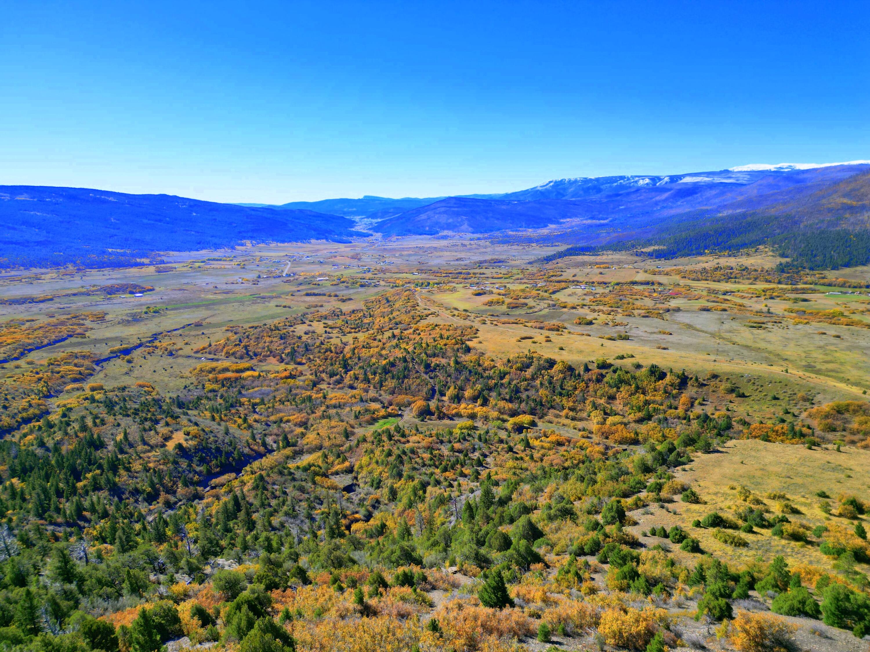 ChaconTR3 Creek B008, Mora, New Mexico image 11