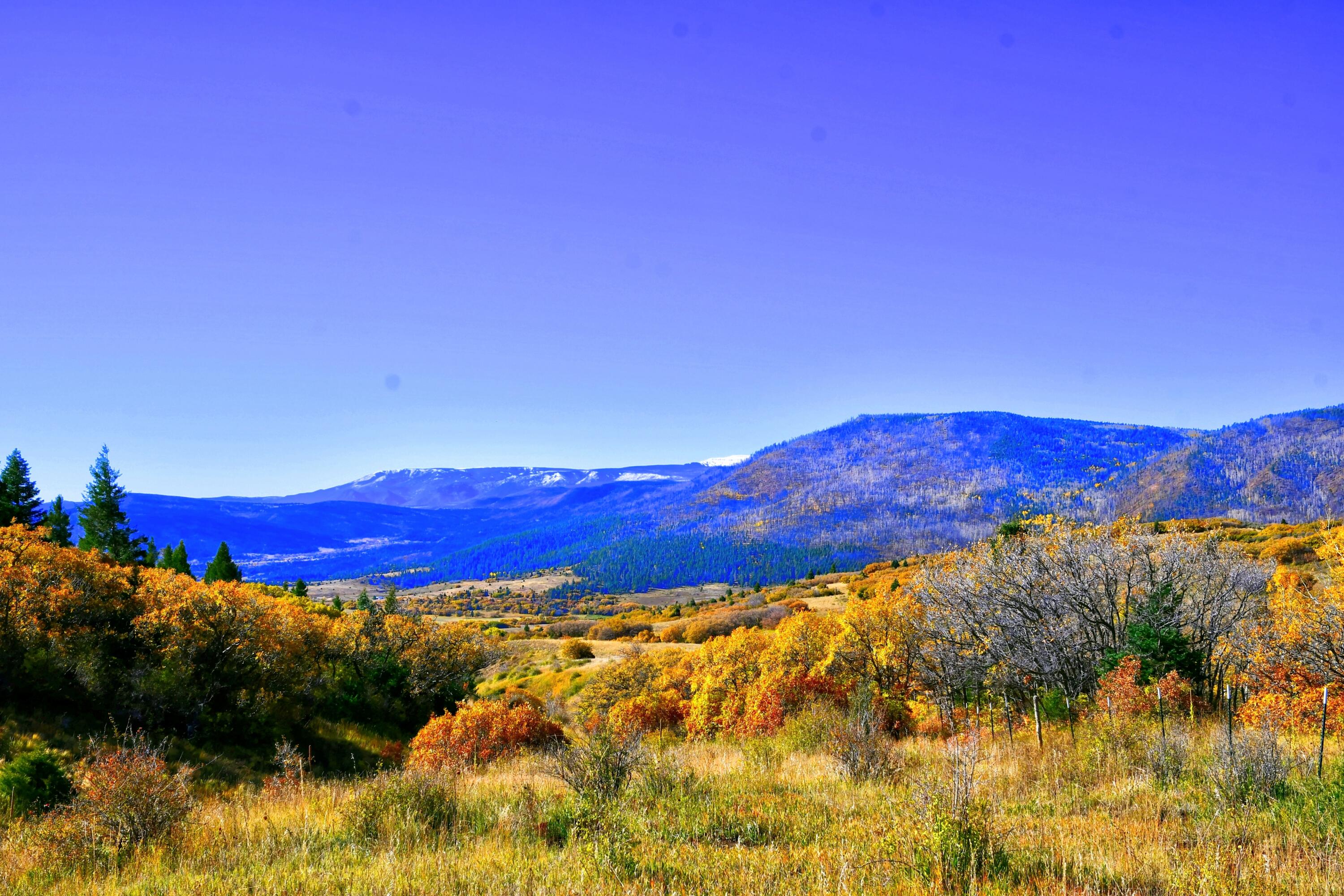 ChaconTR3 Creek B008, Mora, New Mexico image 9