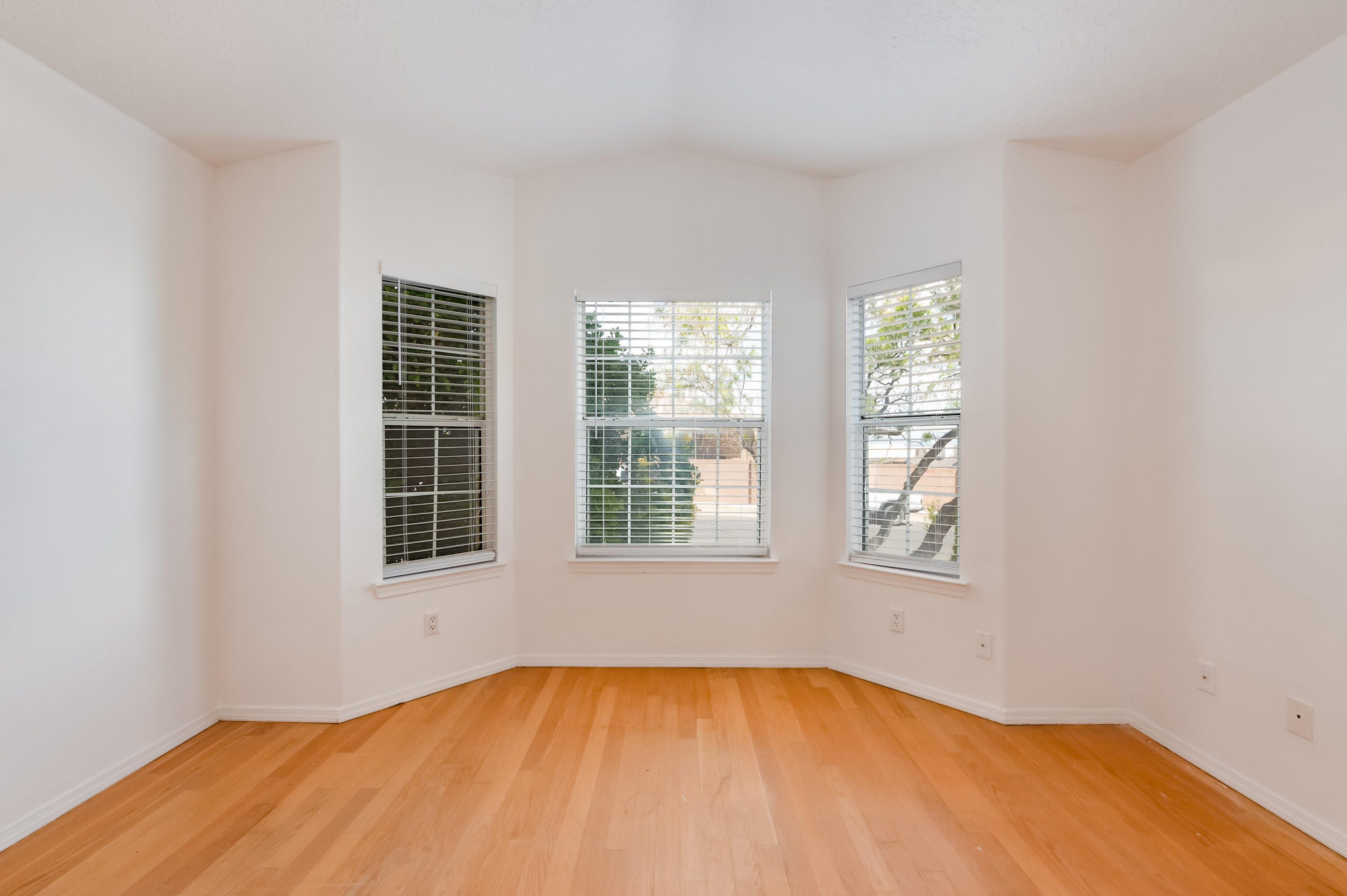 9221 Prickly Pear Street, Albuquerque, New Mexico image 12