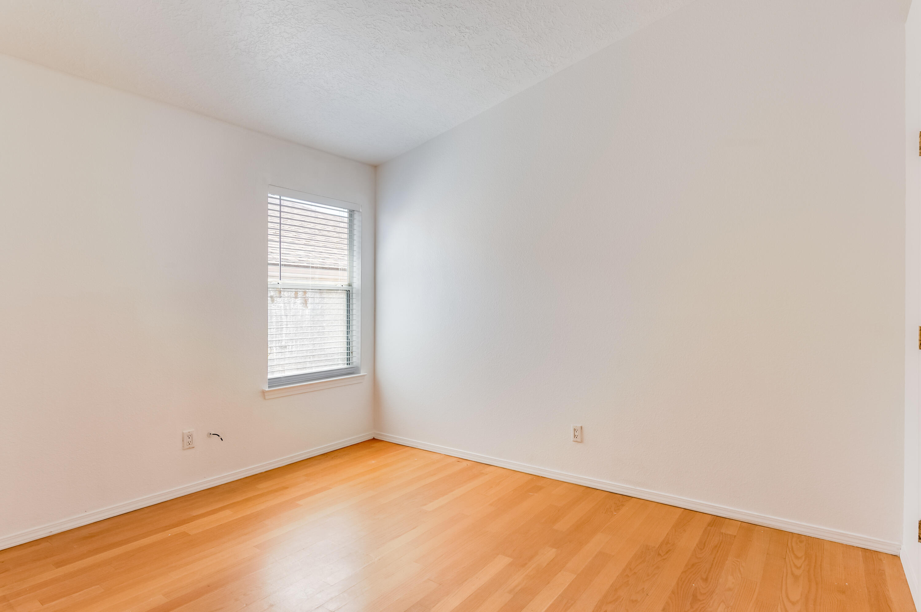 9221 Prickly Pear Street, Albuquerque, New Mexico image 23