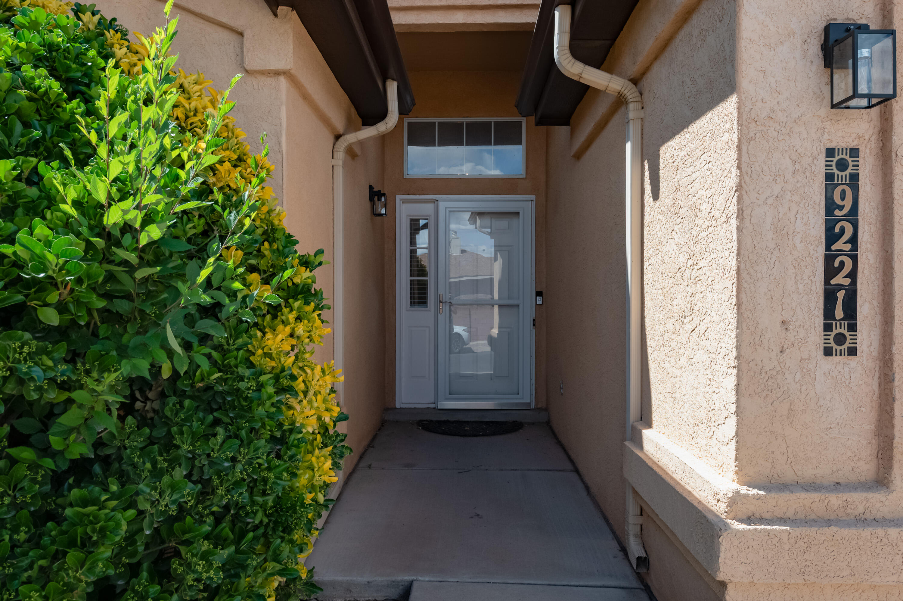 9221 Prickly Pear Street, Albuquerque, New Mexico image 2