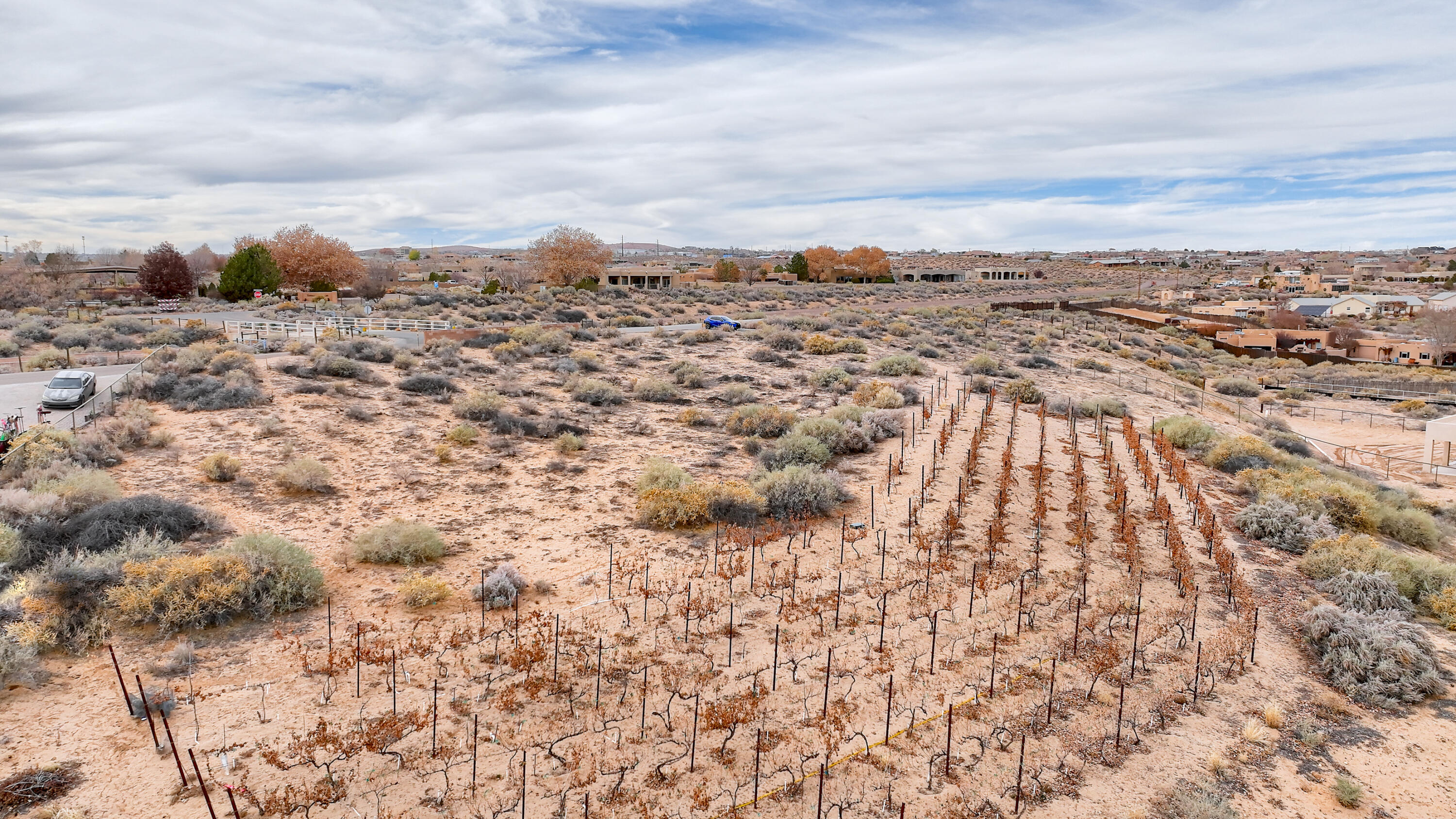 107 Calle Contenta, Corrales, New Mexico image 18