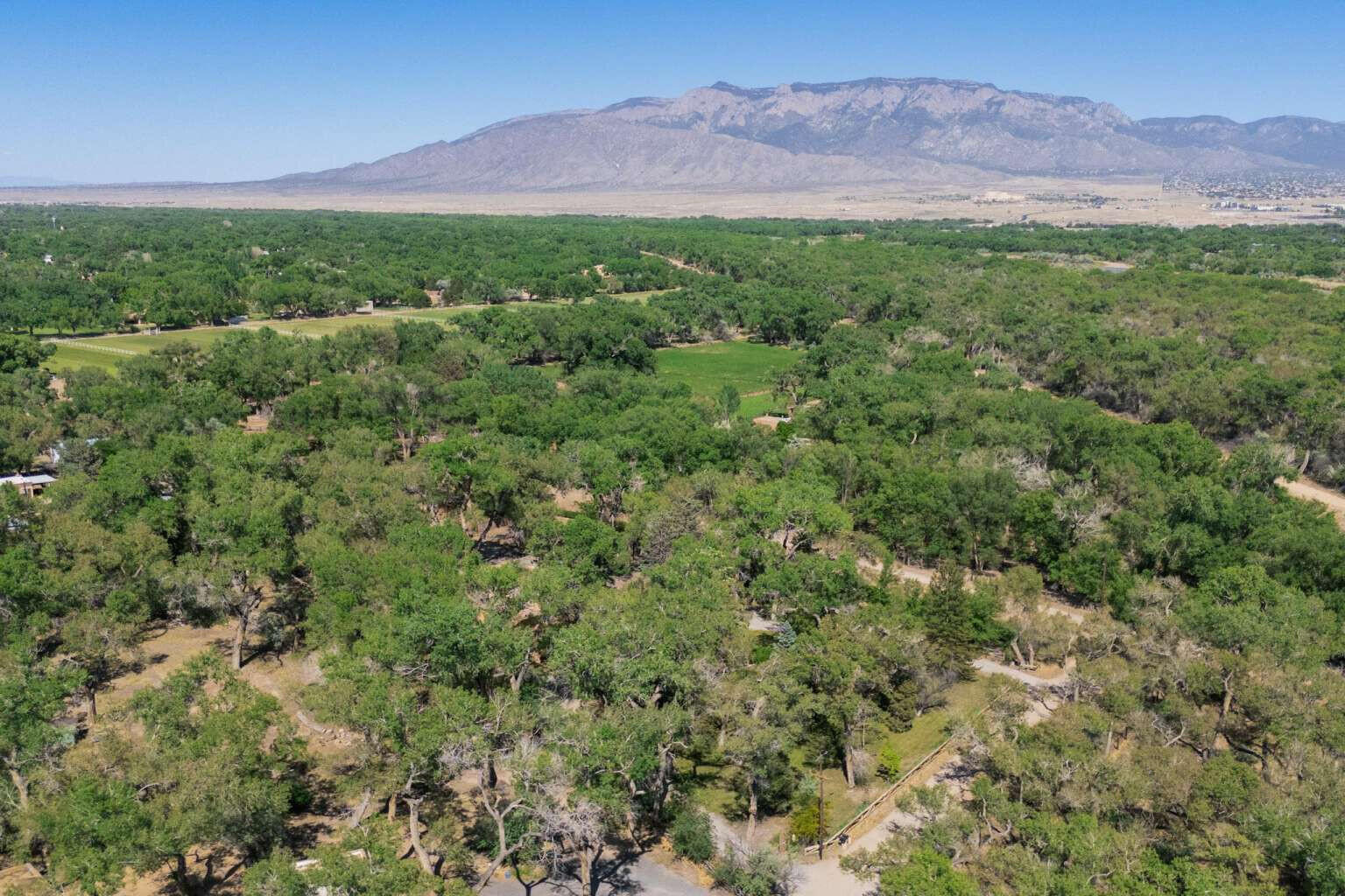 147 Via Oreada, Corrales, New Mexico image 48