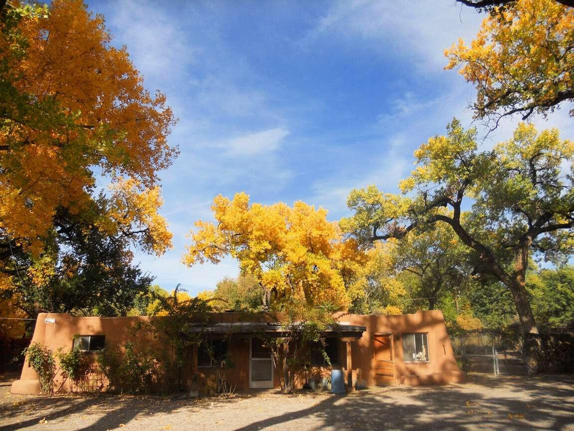 147 Via Oreada, Corrales, New Mexico image 43
