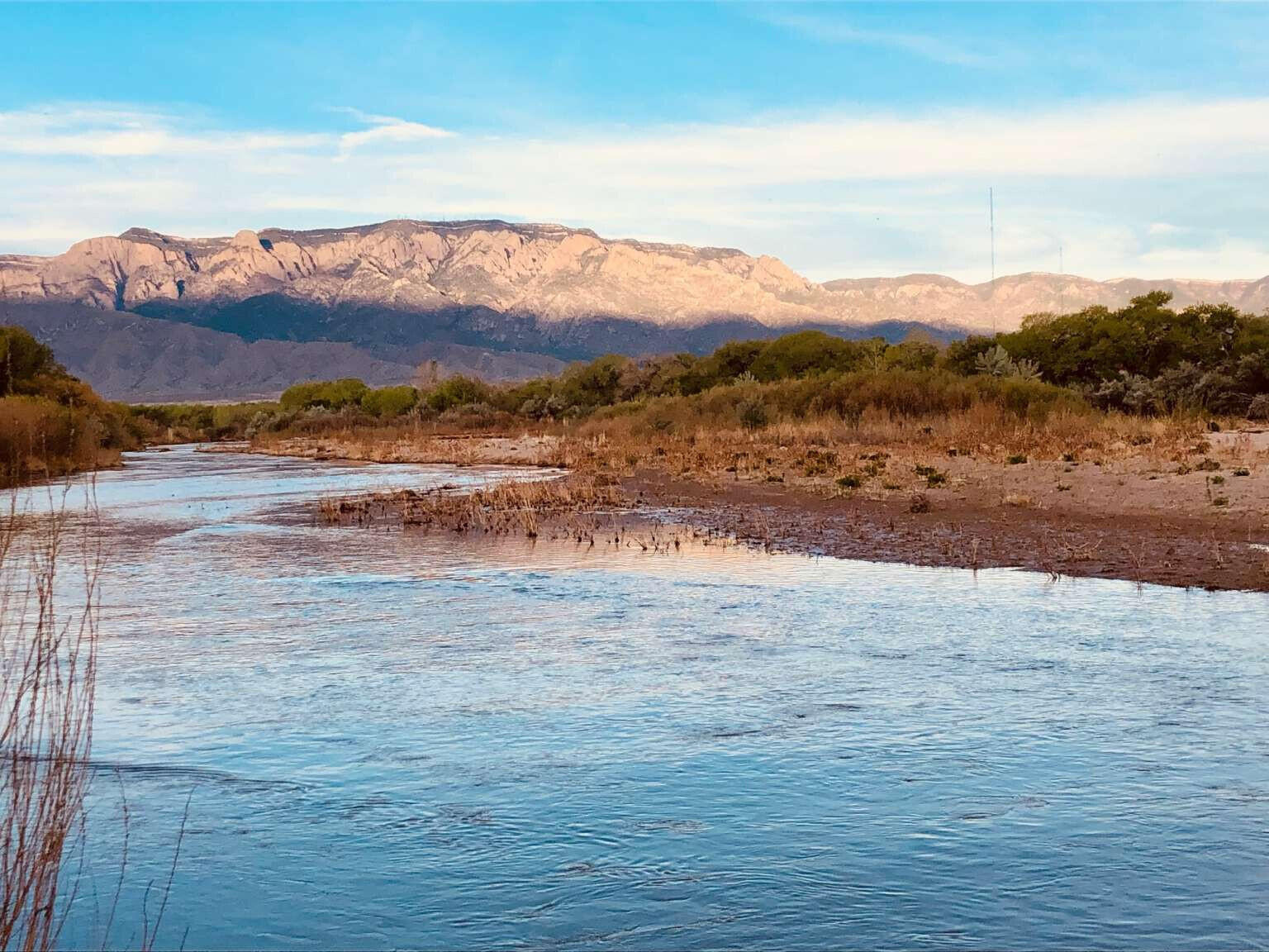 147 Via Oreada, Corrales, New Mexico image 49