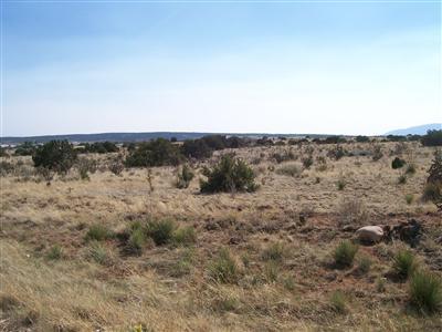 111 Entranosa Road #ENTRANOSA  HORTON, Edgewood, New Mexico image 9