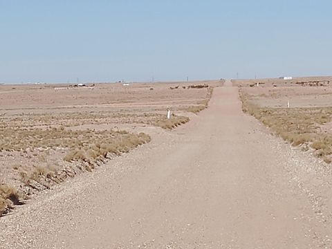 Vacant Land For Sale - 61 Gaspar Avenue<br/> Socorro County, Veguita, NM 87062
